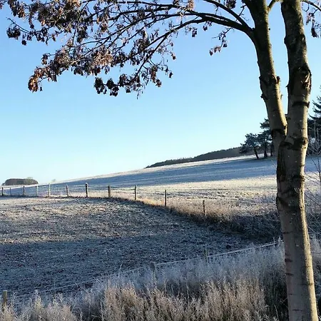 公寓 Ferien-appartement *