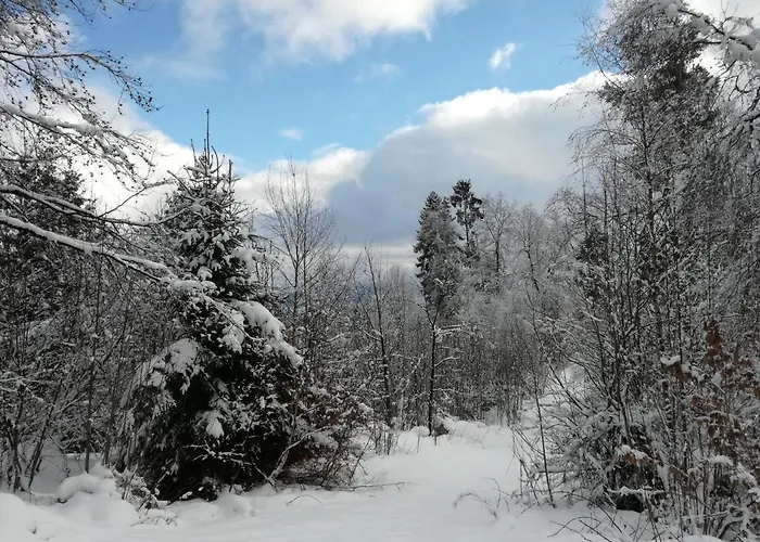 Ferien-appartement *